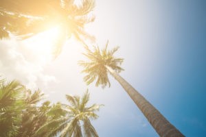 Summer Sun
